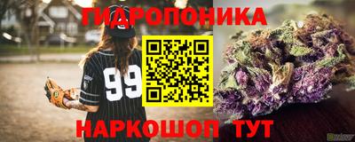 spice Гагарин
