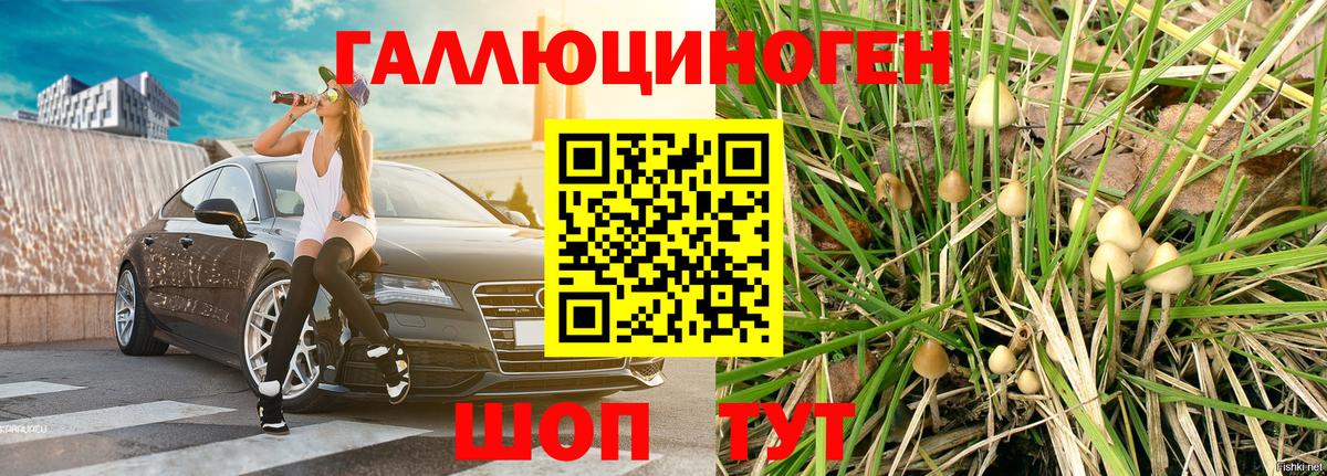 Галлюциногенные грибы Magic Shrooms  Псилоцибиновые грибы MAGIC MUSHROOMS  Вход с VPN  Мурино 